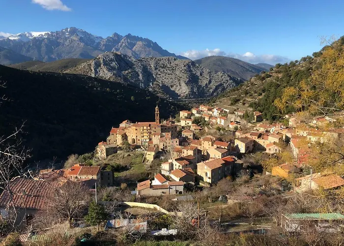 Charmant F2 Dans Joli Village Corse