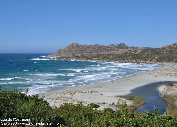 Charmant F2 Dans Joli Village Corse